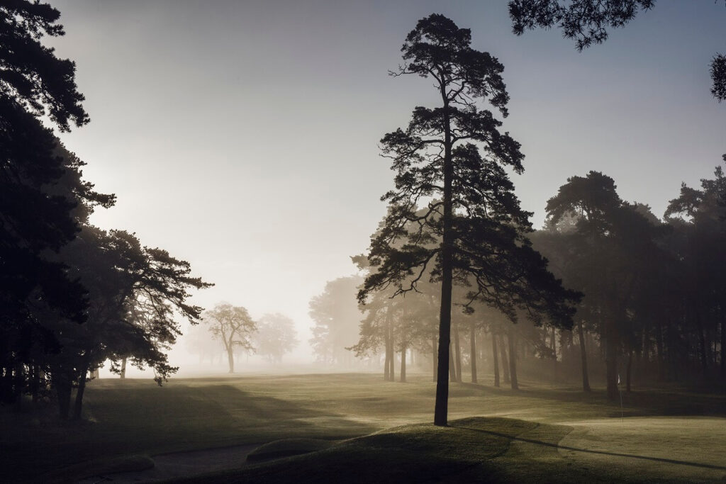 Åhus Gästis-Golfpaket Skåne