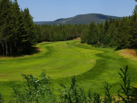 Klövsjö-Vemdalens Golfklubb