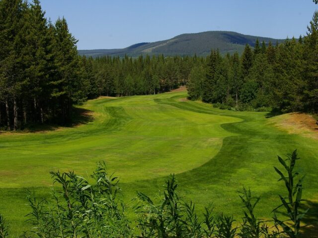 Klövsjö-Vemdalens Golfklubb