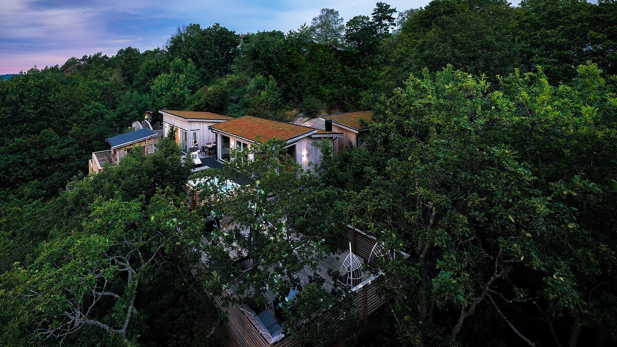 Treetop Spa, Hangout & Hotel