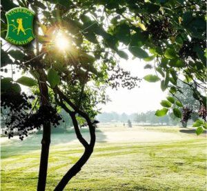 Vinbergs Golfklubb